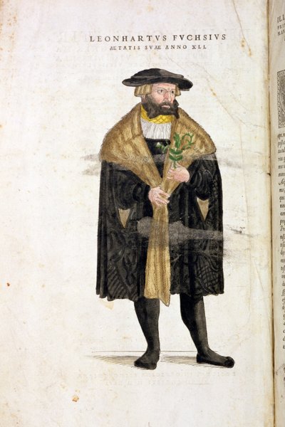Portrait of the author at age 41, from 